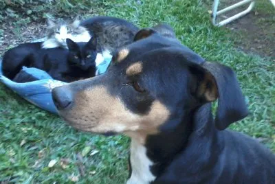 ENANA, INDIO Y TORY