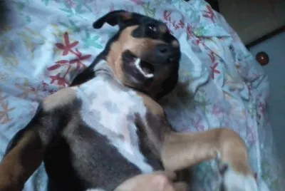 ENANA JUGANDO