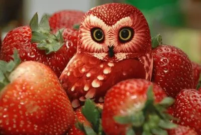 StrOWLberry