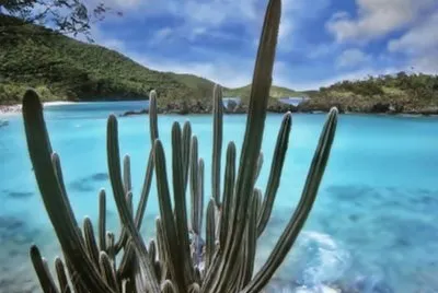 CACTUS Y MAR