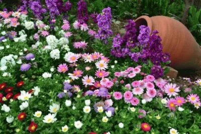 JARDIN 1