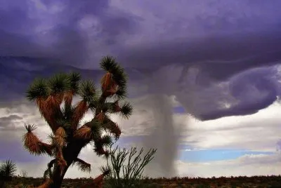 TORMENTA