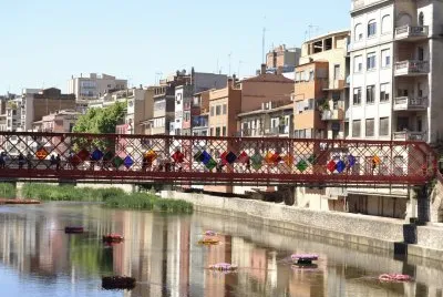 Temps de Flors 2014 jigsaw puzzle