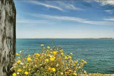 mar jigsaw puzzle