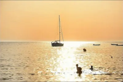 mar jigsaw puzzle