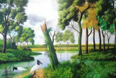 paisagem