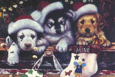 72. Navidad