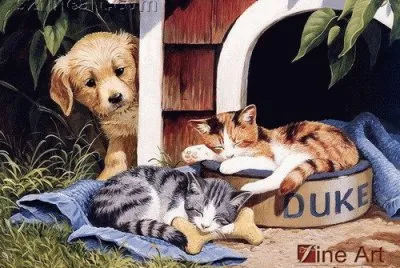82. Amigos
