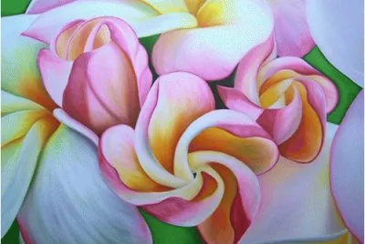 White and Pink Plumeria jigsaw puzzle