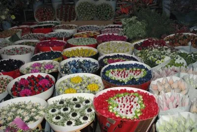 Ã©tal au marchÃ© aux fleurs