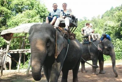 une balade Ã  dos d 'Ã©lÃ©phant