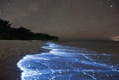 - orillas brillantes de vaadhoo,(maldivas)