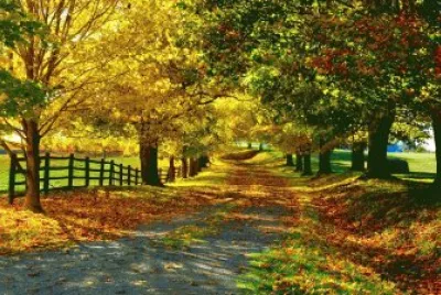 OtoÃ±o