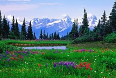 paisaje de primavera