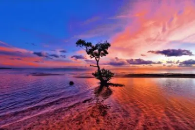 Colorful Sunset jigsaw puzzle