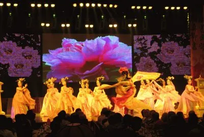 spectacle jigsaw puzzle