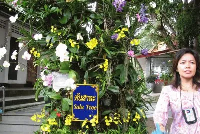 NA notre guide jigsaw puzzle