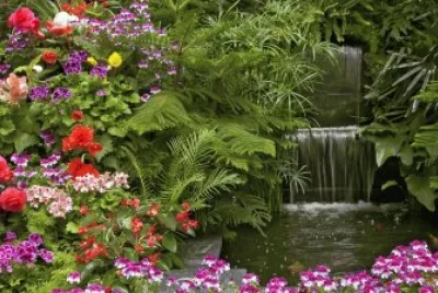 Jardin