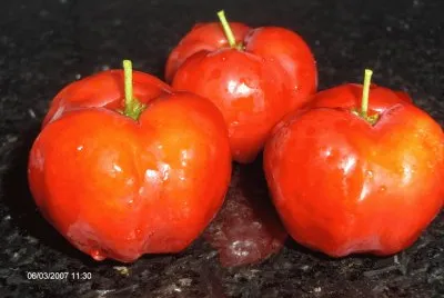 Acerola