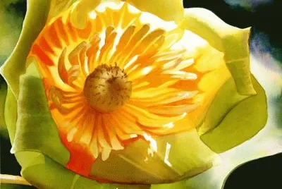 Tulip Polar jigsaw puzzle