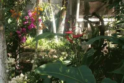 jardin cour intÃ©rieur maison