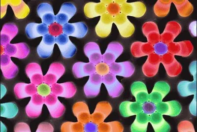 Flores