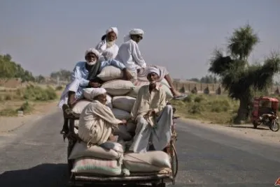 Pakistan Farmers