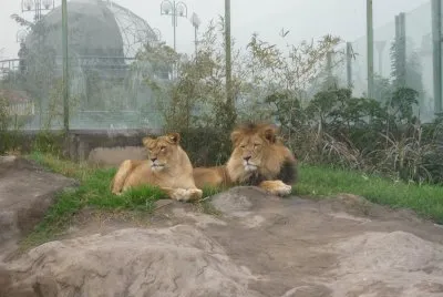 La Pareja