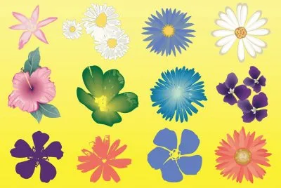 Flores