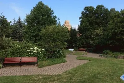 ÃRBOLES EN EL JARDÃN