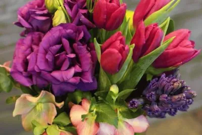 fleurs: