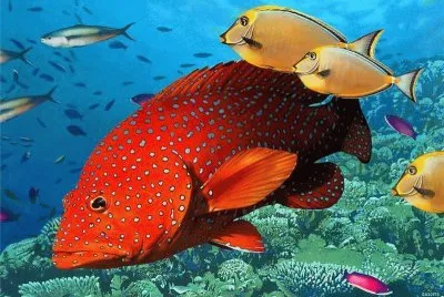 poissons exotiques