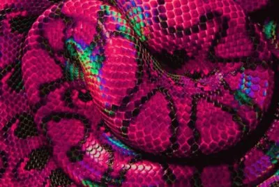 serpent
