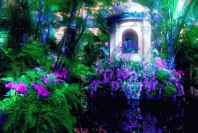 jardin
