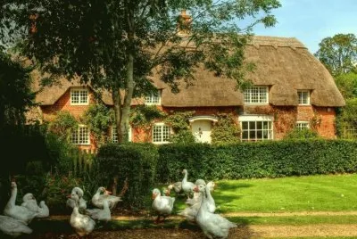 maison jigsaw puzzle