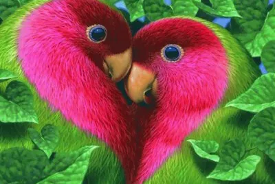 פאזל של Love Birds