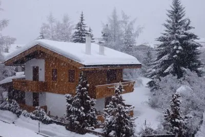 neve