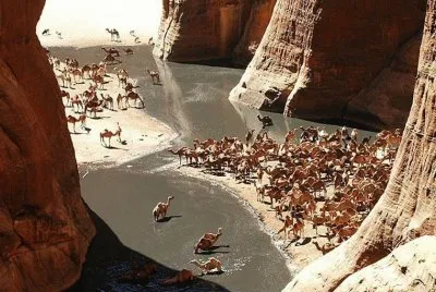 - chade,(africa).