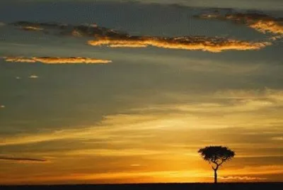 - paisagem,(-)