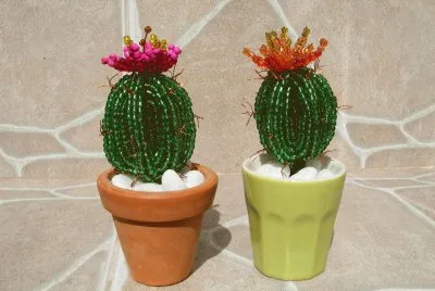 פאזל של CACTOS DE MIÃ‡ANGAS