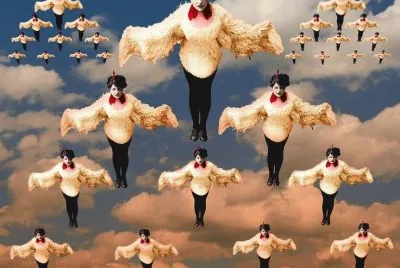 Flying as a Bird