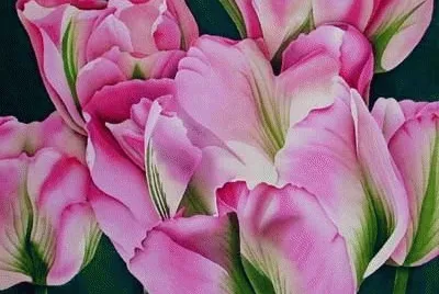 PaintingTulipa jigsaw puzzle