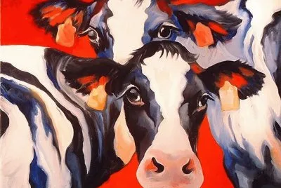 Cows