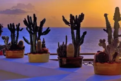 TERRAZA CON CACTUS AL MAR