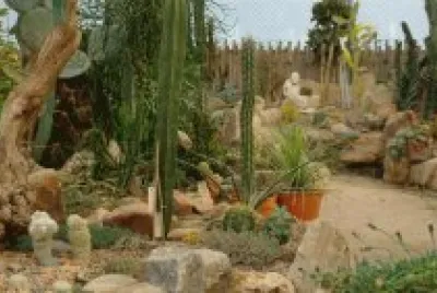 VIVERO RAUSCHER
