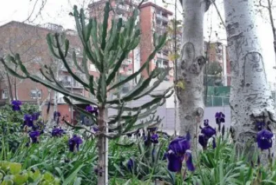 PAISAJE MADRILEÃ‘O