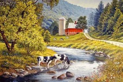 casa jigsaw puzzle