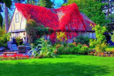 casa jigsaw puzzle