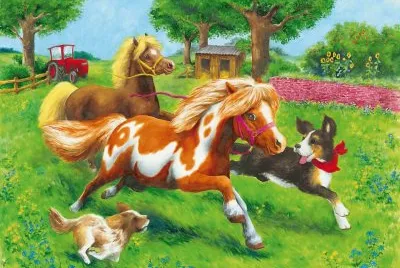 cavalo