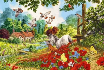 cavalo jigsaw puzzle